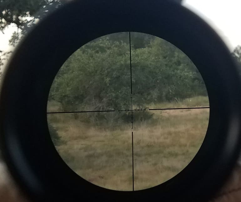 Optic Review: Atibal Nomad 3-12x44 With V-Plex BDC Reticle - The Truth ...