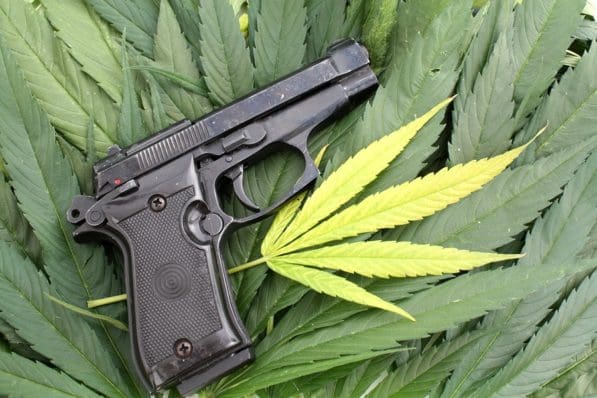 Happy 4/20: Florida's Nikki Fried Is Suing the Biden Admin, ATF Over ...