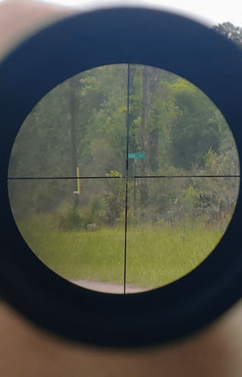 Gear Review: Nikon Prostaff 5 2.5-10x40 Rifle Scope - The Truth About Guns