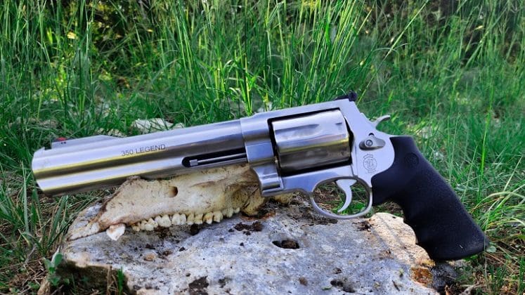 Gun Review: Smith & Wesson Model 350 X-Frame Revolver - The Truth About ...