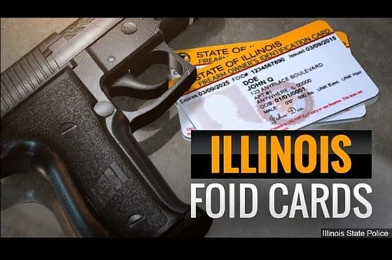 Illinois Appeals Court Hears Challenge To Firearm Owner ID Cards