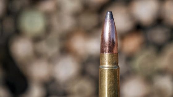 Meet The 375 Raptor A Heavy Hitting Short Action Cartridge The