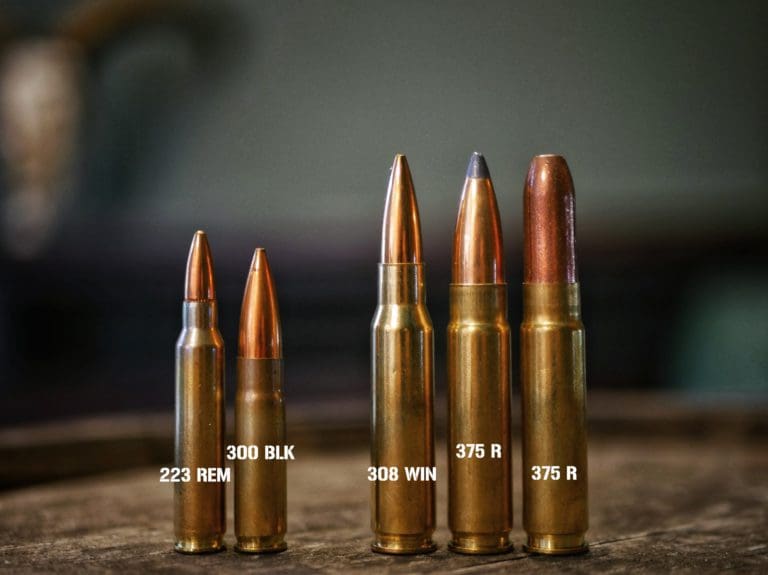 Meet the 375 Raptor: a Heavy-Hitting, Short Action Cartridge - The ...