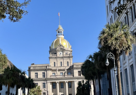 Savannah Ruling In Preemption Case A Hollow Victory For Anti-Gunners