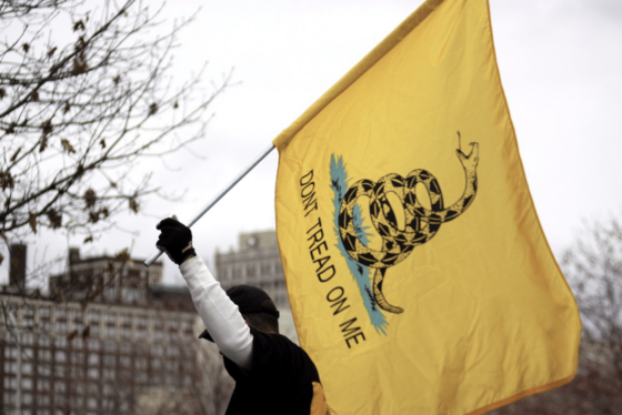 Don’t Tread on Me: The Gadsden Flag and What It Really Means