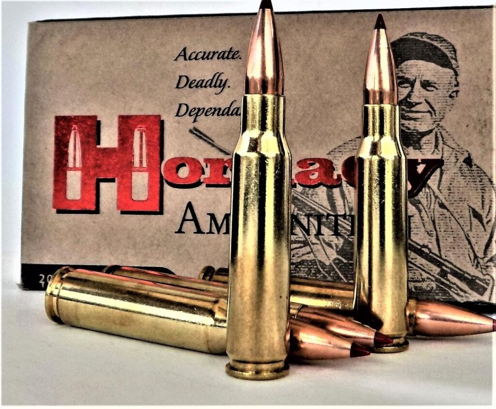 223 ammo for home defense